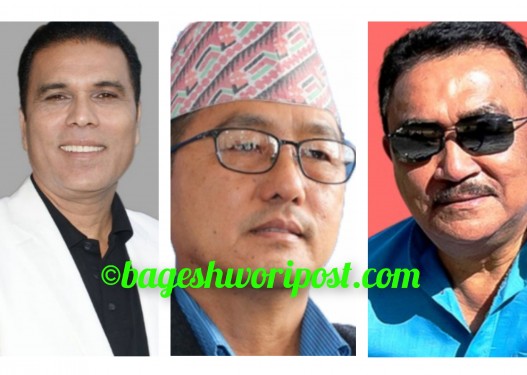 राप्रपाबाट अध्यक्ष लिङ्देनसहित प्रधान र पाण्डे मन्त्री बन्दै