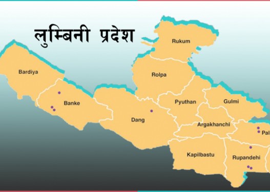 लुम्बिनी प्रदेशमा विपद: तीन दिनमा २९ घटना