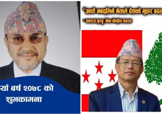 कांग्रेस उपसभापतिमा धनराज गुरुङ र पूर्णबहादुर खड्का निर्वाचित