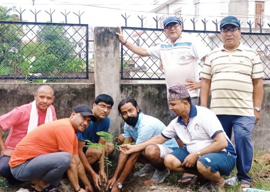 वडा कार्यालय र ब्याडमिन्टन कोर्ट परिसरमा वृक्षारोपण