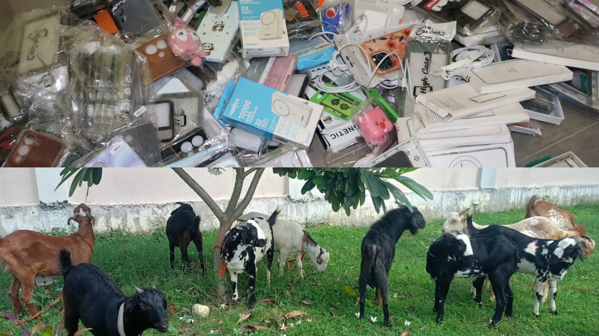 भन्सार छलेर ल्याइएको सामान र खसी बरामद