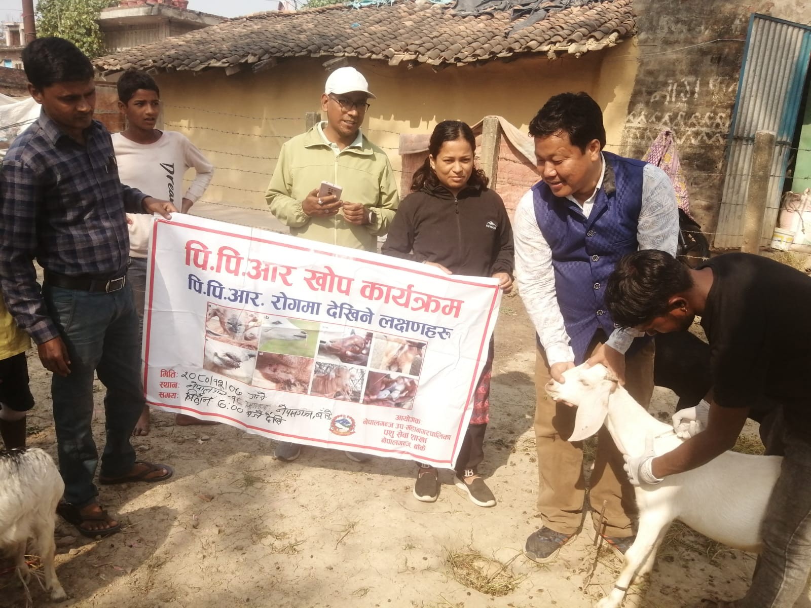 नेपालगञ्जमा घर-घर पुगेर पशुलाई 'भ्याक्सिन'