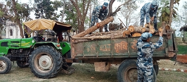 सशस्त्र प्रहरीद्वारा कपिलवस्तुबाट ठुलो परिमाणमा अवैध काठ बरामद
