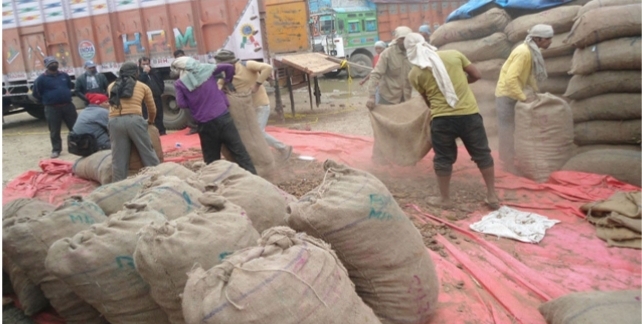 भारततर्फ निकासी नहुदा करोडौंको जडिबुटी गोदाममा कुहिदै