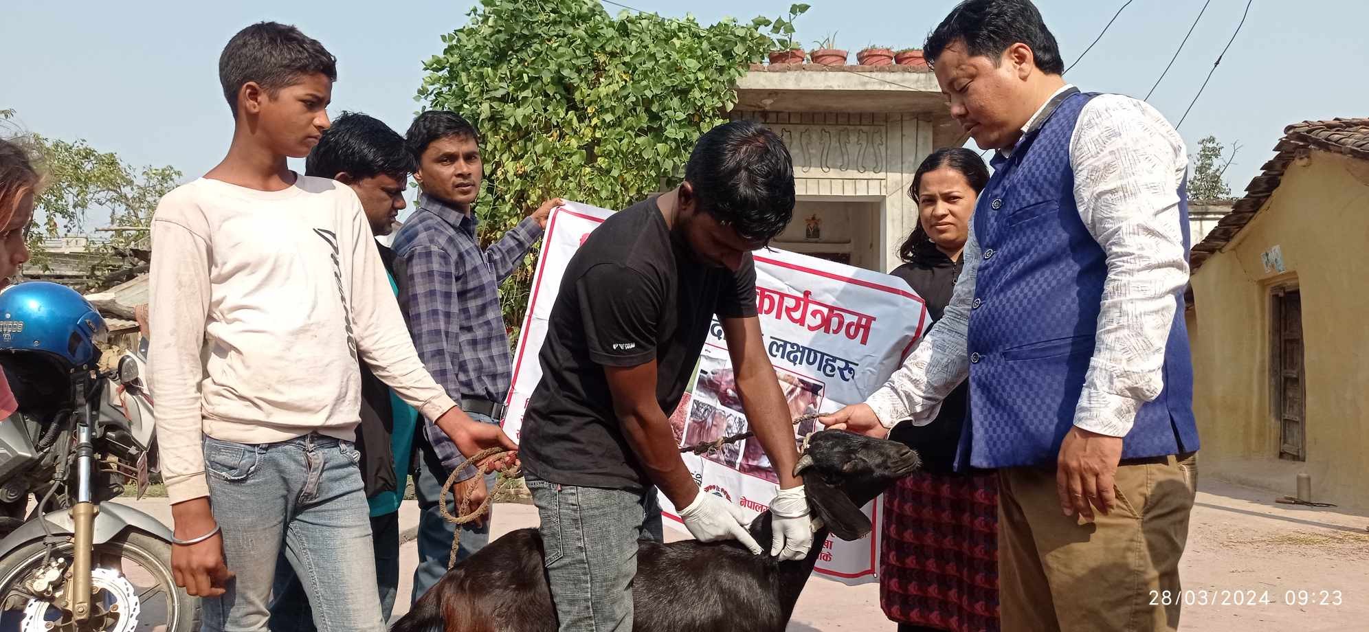 किसानसंग जोडिँदै पशु सेवा शाखा